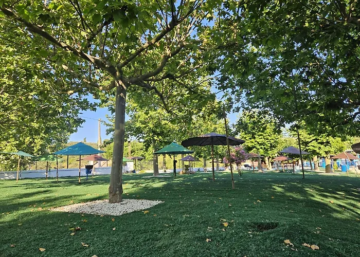 Las Cabañas Del Lago