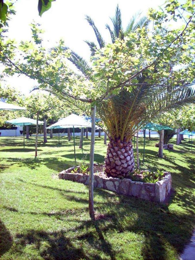 Del Chalet