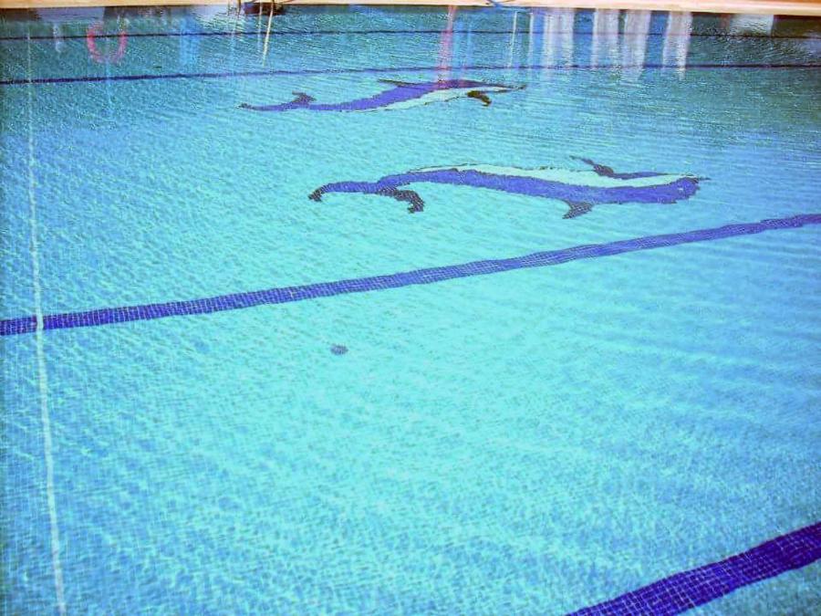 Del Incluye Acceso Piscina 2 Columnas Chalet *