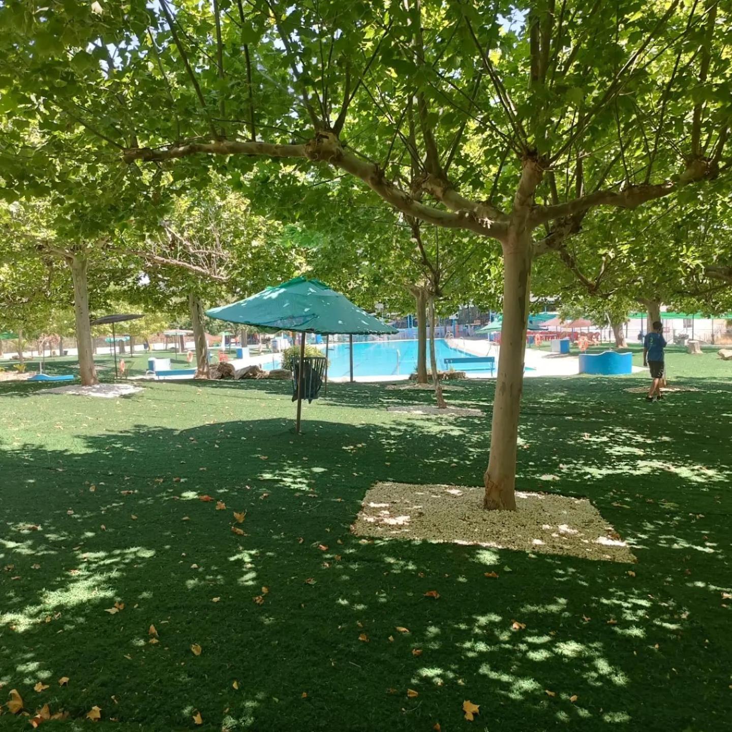 Del Incluye Acceso Piscina 2 Columnas Chalet